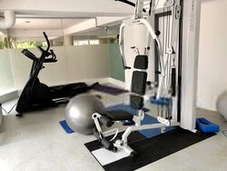 Pepys Hill Condominium (D5), Condominium #489254881